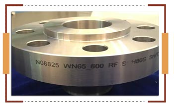 Alloy 825 flanges