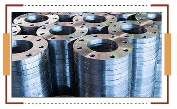 Nickel 200 flanges